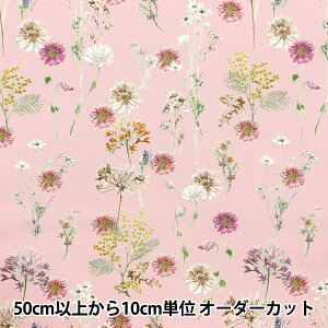 y5z n woeBEt@ubNX ^i[ |Jt[ 363J4216-24CUx Liberty Japan oeBWp