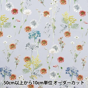 y5z n woeBEt@ubNX ^i[ |Jt[ 363J4216-24DUx Liberty Japan oeBWp