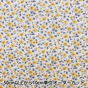 y5z n wI[KjbN[ vXt[ ItzCg NQA-52030-31Ax KOKKA RbJ