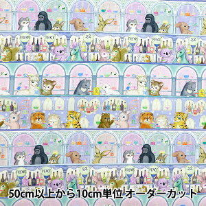 y5z n w60[fW^vg 22fabric 22[fB[o[ u[ DP-4435-6Bx