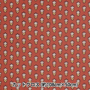 n wSOULEIADO \CA[h V[`O~l[g JbgNX 108×50cm o[KfB SLFRK-314Bx