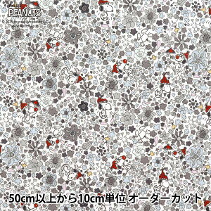 y5z n woeBEt@ubNX ^i[ t[EfCg DC34862-J25Cx Liberty Japan oeBWp