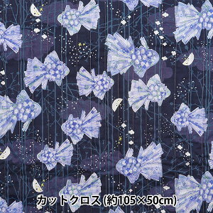 n w݂U  LgJbgNX 105cm×50cm lCr[ CQKMS24GF-NVx yU菤iz