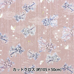 n w݂U  LgJbgNX 105cm×50cm sN CQKMS24GF-PIx yU菤iz