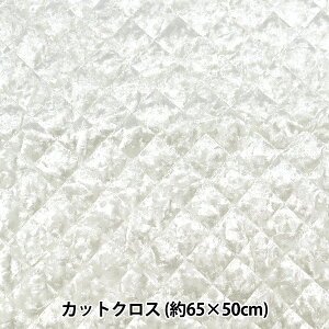 n wxALgJbgNX 65×50cm zCg CQ-VE-HWx