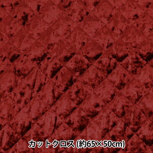 n wxALgJbgNX 65×50cm C CQ-VE-WNx