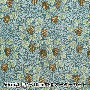 y5z n wV[`O V&A @C AeB[Nu[ VA10022-Bx