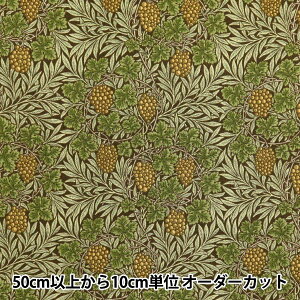 y5z n wV[`O V&A @C uE VA10022-Cx