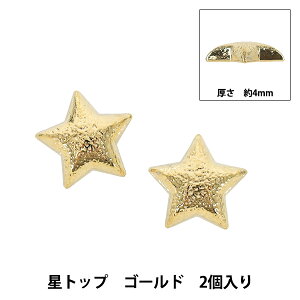 �A�N�Z�T���[�f�� �w���g�b�v �S�[���h 2����AP25821�x