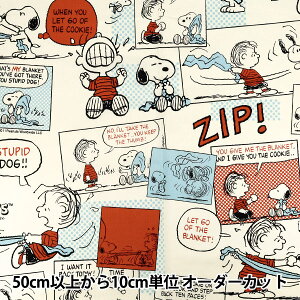 y5z n wXk[s[ AR~ V[`O G-9934-1Bx KOKKA RbJ