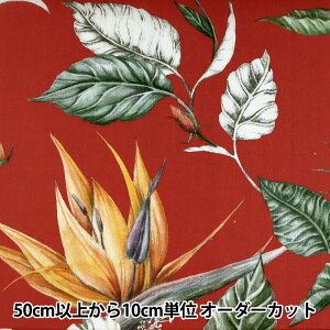 y5z n wLIBERTY oeBvg ^i[ p_CXxC 3631137-Ax Liberty Japan oeBWp