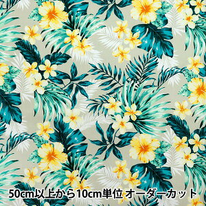 y5z n wIbNX nCA nCrXJX x[W×CG[ AP52202-2Ax