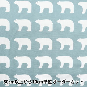 y5z n wkippis (LbsX) IbNX VN} u[O[ KPO-06Px