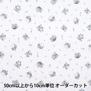 y5z n wNOVA V[`O tF~jLbg u[ NSE-CAT-BLx KOKKA RbJ yUIWiz