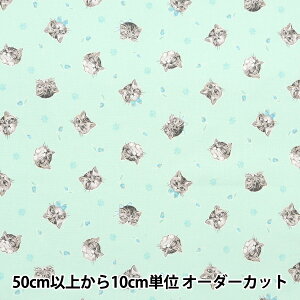 y5z n wNOVA V[`O tF~jLbg O[ NSE-CAT-GRx KOKKA RbJ yUIWiz