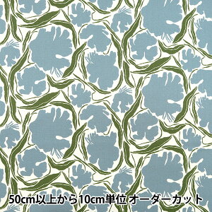 y5z n wkippis (LbsX) IbNX g[ O[ KPO-76Ax