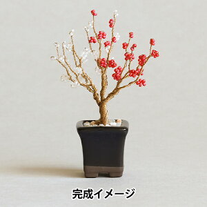 r[YLbg wlWbeBONSAILbg ~ HCA30//2x MIYUKI ~L