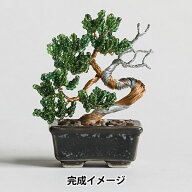 ビーズキット 『ネジッテBONSAI 真柏 HCA30//7』 MIYUKI ミユキ