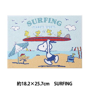 r[YLbg w_ChtBbNX Xk[s[ SURFING B5TCY DFB5-PN002x