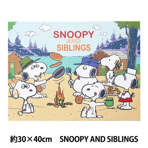 yX[p[SALEzr[YLbg w_ChtBbNX Xk[s[ SNOOPY AND SIBLINGS 30×40cm DF34-PN001x