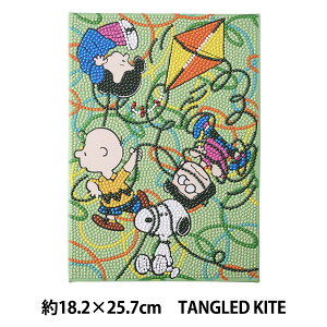 r[YLbg w_ChtBbNX Xk[s[ TANGLED KITE 18.2×25.7cm DFB5-SN005x