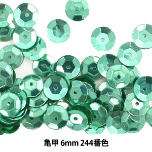 XpR[ wTb 6mm CUP 244ԐFx