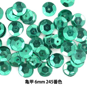 XpR[ wTb 6mm CUP 245ԐFx