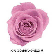 楽天市場】プリザーブドフラワー クリスタルピンク ローズの通販