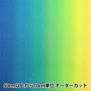 y5z n wOf[Vvg u[×CG[ DD11216S-301x