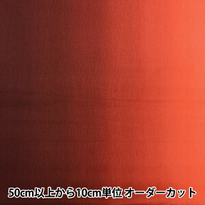 y5z n wOf[Vvg XJ[bg DD11216S-303x