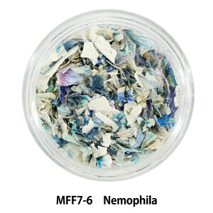 ���W���ޗ� �w�~�b�N�X�t�����[�t���b�g �V���[�Y7 MFF7-6 Nemophila�x SMint �G�X�~���g