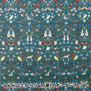 y5z n w10ԃIbNX Aj}K[f lCr[ R9014-2Dx