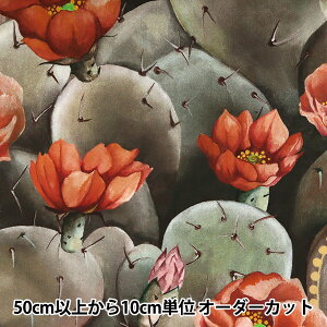 y5z n wLIBERTY oeBvg ^i[ fU[gE[Y 3631129-Ax Liberty Japan oeBWp