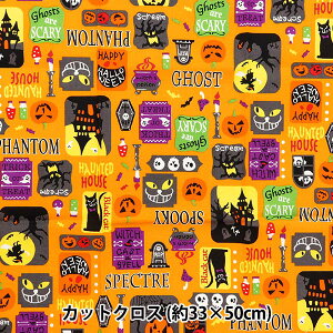 n wpb`[N JbgNX 33cm×50cm `[t IW C-7112-2Ax