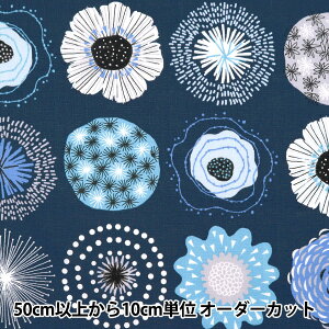 y5z n wG~RRNV XuNX t[T[N lCr[ SEC2601-NVx KIYOHARA 