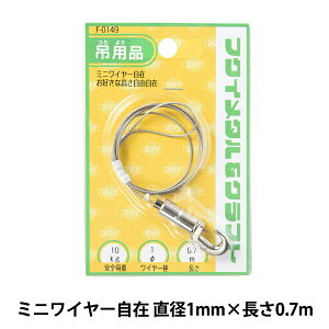 zp wXeX ~jC[ a1mm 0.7m F-0149x