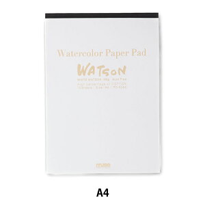  wzCgg\pbh  A4 PD-6244x muse ~[Y