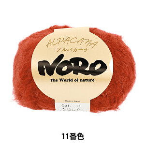 H~ю wApJ[i 11ԐFx NORO Cp