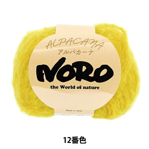 H~ю wApJ[i 12ԐFx NORO Cp