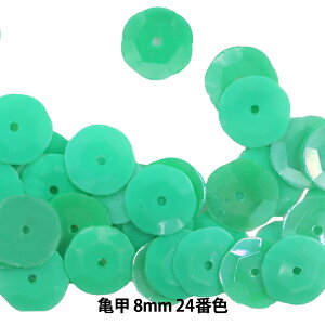 XpR[ wTb 8mm CUP 24ԐFx