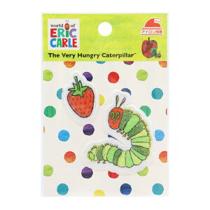 by w͂؂ނ EC02x PIONEER pCIjA