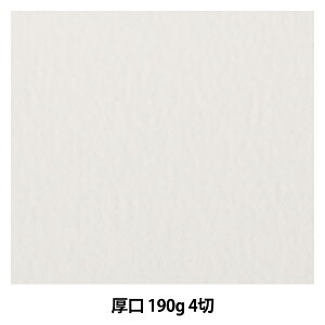 p wg\  190g 4؁x muse ~[Y