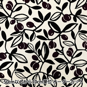 y5z n w̕z IbNX I[u Li×p[v ACS1136-Ax COTTON KOBAYASHI Rbg΂₵ ё@