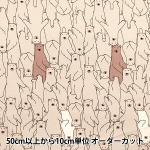 y5z n wV[`O N}炯 uE ACS1112-Cx COTTON KOBAYASHI Rbg΂₵ ё@