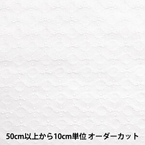 y5z n wYȃ[X  2041025-1x