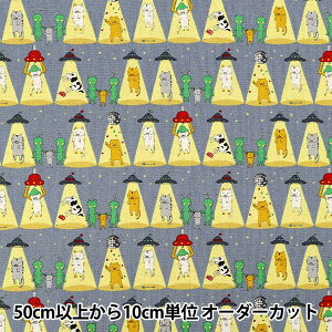 y5z n wȖLoX lR O[ KTS7149-Bx COTTON KOBAYASHI Rbg΂₵ ё@