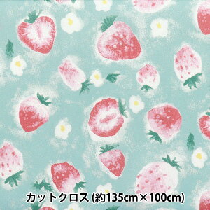 y1000~|bLz n w͂RۖhL|GXe JbgNX 135cm×100cm ʃC`S ~g C-HP-SC-SU-MTx y}\z