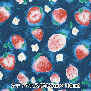 n w͂RۖhL|GXe JbgNX 135cm×100cm ʃC`S lCr[ C-HP-SC-SU-NVx