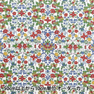 y5z n woeBEt@ubNX ^i[ ApCk[{[ 363J4217-24AUx Liberty Japan oeBWp