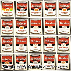 y5z n w10ԃLoX lRʕ bh KTS7085-Ax COTTON KOBAYASHI Rbg΂₵ ё@